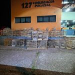 Guarda Municipal de Búzios faz maior apreensão de animais silvestres da história
