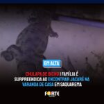 CHULAPA DE BICHO | Família é surpreendida ao encontrar jacaré na varanda de casa em Saquarema