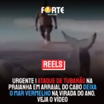 🚨 SANGRIA NA VIRADA | Ataque de Tubarão na Praianha em Arraial do Cabo deixa o mar vermelho NA VIRADA DO ANO. Veja o vídeo: