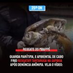 RESGATE DO MBAPPÉ | Guarda Marítima, e Ambiental de Cabo Frio resgatam Tartaruga na Gamboa após denúncia anônima. Veja o vídeo: