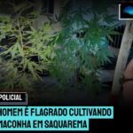 Homem é flagrado cultivando maconha em Saquarema
