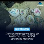 Traficante é preso na Boca do Mato com mais de 500 buchas de Maconha
