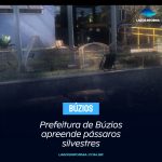 Prefeitura de Búzios apreende pássaros silvestres