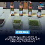 Polícia Civil prende quadrilha de venda ilegal de laudos para cultivo de maconha no Rio de Janeiro
