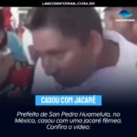 Prefeito de San Pedro Huamelula, no México, casou com uma jacaré fêmea. Confira o vídeo: