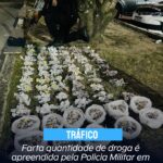 Farta quantidade de droga é apreendida pela policia militar, em Cabo Frio