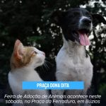 Feira de Adoção de Animais acontece neste sábado, na Praça da Ferradura, em Búzios