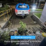 Poícia apreende maconha e munições em Cabo Frio