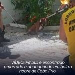 VÍDEO: Pit bull é encontrado amarrado e abandonado em bairro nobre de Cabo Frio