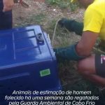Animais de estimação de homem falecido há uma semana são regatados pela Guarda Ambiental de Cabo Frio
