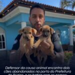 Defensor da causa animal encontra dois cães abandonados na porta da Prefeitura de Búzios, e os batiza com os nomes: Alexandre e Martins. Descubra o caso