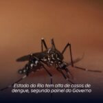 Estado do Rio tem alta de casos de dengue, segundo painel do Governo