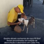 Quatro dóceis cachorros da raça Pit Bull foram encontrados em estado de desnutrição e abandono em Cabo Frio, nesta quinta-feira (21)