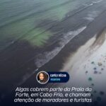 Algas cobrem parte da Praia do Forte, em Cabo Frio, e chamam atenção de moradores e turistas