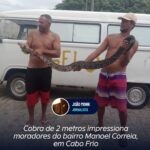 Jiboia de 2 metros impressiona moradores do bairro Manoel Correia, em Cabo Frio