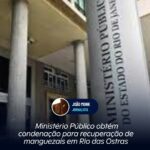 Ministério Público obtém condenação para recuperação de manguezais em Rio das Ostras