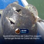 Guarda marítima de Cabo Frio resgata tartaruga ferida no Canal do Itajuru