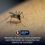 Morador de Búzios relata problema com infestação de mosquitos nos bairros do município