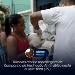 Tamoios recebe repescagem da Campanha de Vacinação Antirrábica nesta quinta-feira (29)