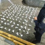 Polícia apreende 1.440 pinos de cocaína em Armação dos Búzios