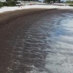 Algas invadem o canto da Praia do Forte, em Cabo Frio