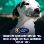 Saquarema inicia cadastramento para banco de ração destinado a animais de pequeno porte