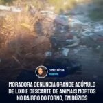 Moradora denuncia grande acúmulo de lixo e descarte de animais mortos no bairro do Forno, em Búzios