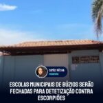 Escolas municipais de Búzios serão fechadas para detetização contra escorpiões