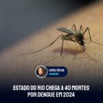 Estado do Rio chega a 40 mortes por dengue em 2024