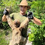 Guarda Ambiental de Saquarema resgata bicho-preguiça em Vilatur