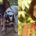 Justiça concede liberdade a donos de pitbulls que atacaram escritora Roseana Murray em Saquarema