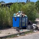 Moradores pedem atenção urgente para coleta de lixo em Geribá, no município de Búzios