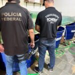 Polícia Federal realiza operação contra comércio ilegal de animais marinhos em São Pedro da Aldeia