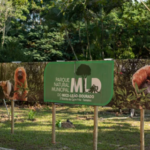 Cabo Frio terá curso de capacitação de Guias de Turismo