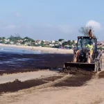 Praia de Geribá, em Búzios, aparece com extensa faixa de algas, mas a prefeitura descarta indícios de esgoto