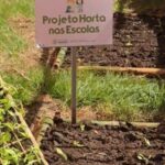 Projeto ‘Horta nas Escolas’ produz alimentos e fornece atividades para estudantes de Saquarema