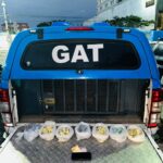 Policia de Cabo Frio prende ”maluquinho” com 351 pedras de crack e 40 buchas de maconha