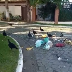 Moradores denunciam abandono e acúmulo de lixo no Parque das Acácias, em Búzios