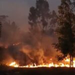 Incêndio atinge área de vegetação próxima a condomínio de Araruama