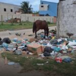 Moradores denunciam concentração de lixo próximo a posto de saúde e escolas no bairro Monte Alegre, em Cabo Frio