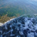 Coliformes fecais são identificados na Lagoa de São Pedro da Aldeia
