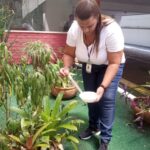 Cabo Frio registra 39 casos de arboviroses em janeiro e intensifica ações contra a dengue