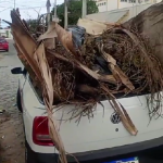 Morador de Cabo Frio reclama de descarte irregular de lixo no Bairro Parque Riviera