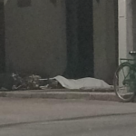 Homem é morto a tiros no bairro Boqueirão, em Saquarema