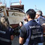 Donos de barco são autuados após atropelarem baleia-jubarte em Arraial do Cabo