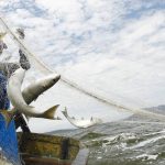 Proibido pescar! Lagoa de Araruama entra em defeso com fiscalização rigorosa a partir de sexta (1)