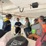 Baleia atropelada em Arraial do Cabo escancara irresponsabilidade no turismo náutico; ICMBio reage com operação urgente