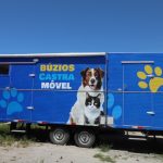 Búzios acelera castrações de cães e gatos e anuncia grande mutirão com Castra Móvel neste sábado (23)