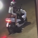 Cadela é atropelada e abandonada por dupla em moto em São Pedro da Aldeia; moradores pedem justiça