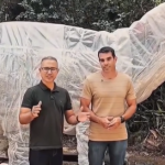 Os dinossauros começaram a chegar em Iguaba Grande e projeto promete revolucionar o turismo na região